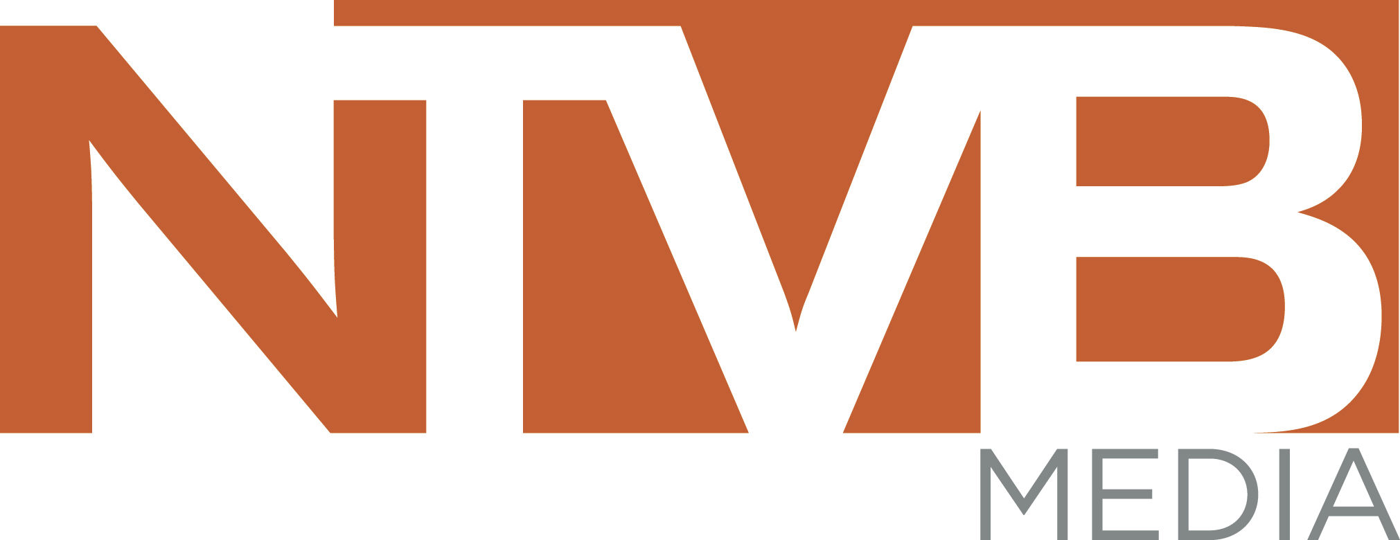 ntvb logo
